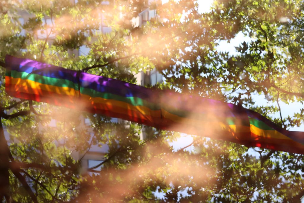 rainbow flag, symbolising the LGBT community in trees