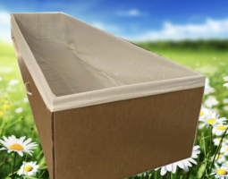 Daisybox cardboard coffins at Tomorrow Funerals